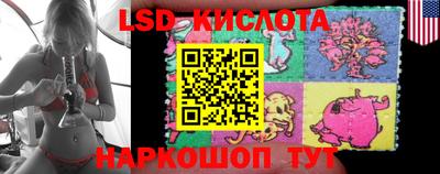 гашик Кандалакша