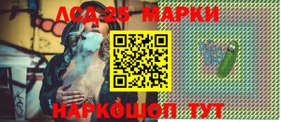 гашик Кандалакша