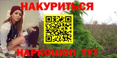 гашик Кандалакша