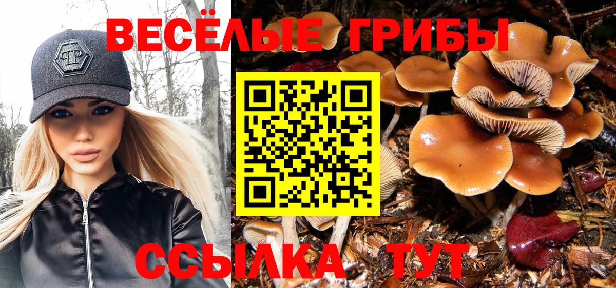 Вичуга  Галлюциногенные грибы Magic Shrooms  Вход с VPN 